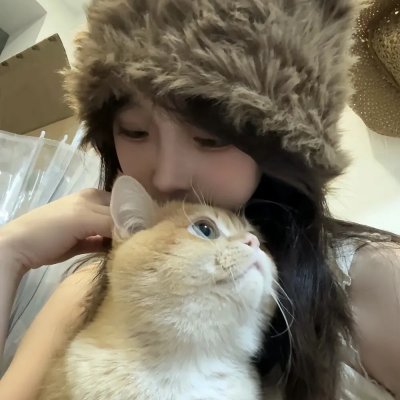 灰姑娘企鹅的温柔故事